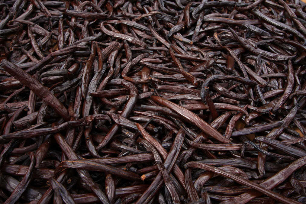 Tahitian vanilla beans have evolved to offer strong floral and fruity notes that are significantly different from Mexican and Madagascar vanilla.